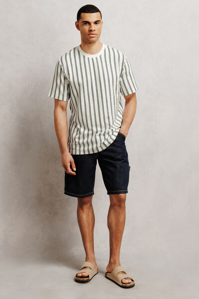 Tee shirt ray&eacute;