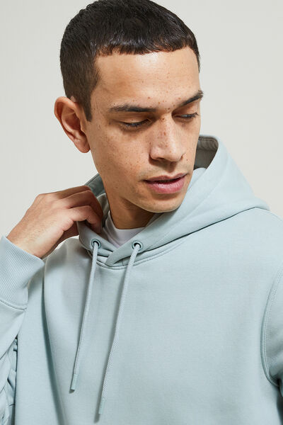 Sweat-shirts et hoodies Bleu pour homme | Ralph Lauren® FR