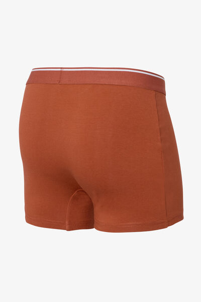 Boxer uni
