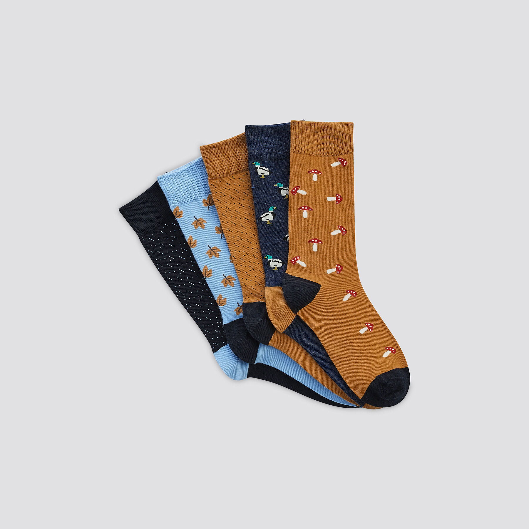 Lot de 5 paires de chaussettes fantaisie coton iss Jules BE