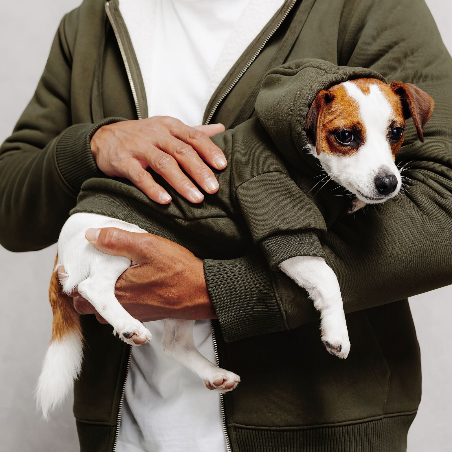 Sweat &agrave; capuche pour chien