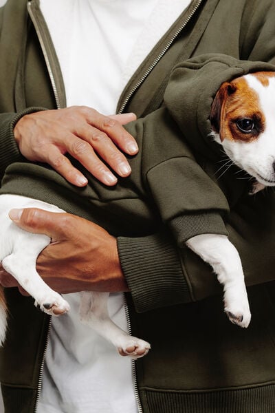Sweat &agrave; capuche pour chien