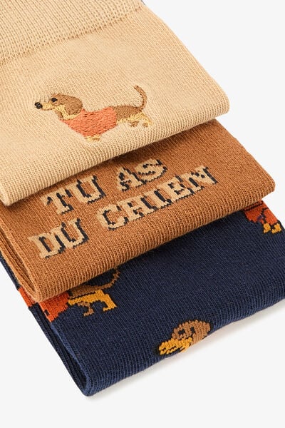 Coffret 3 paires de chaussettes fantaisie