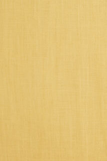 Chemise en lin regular col boutonné