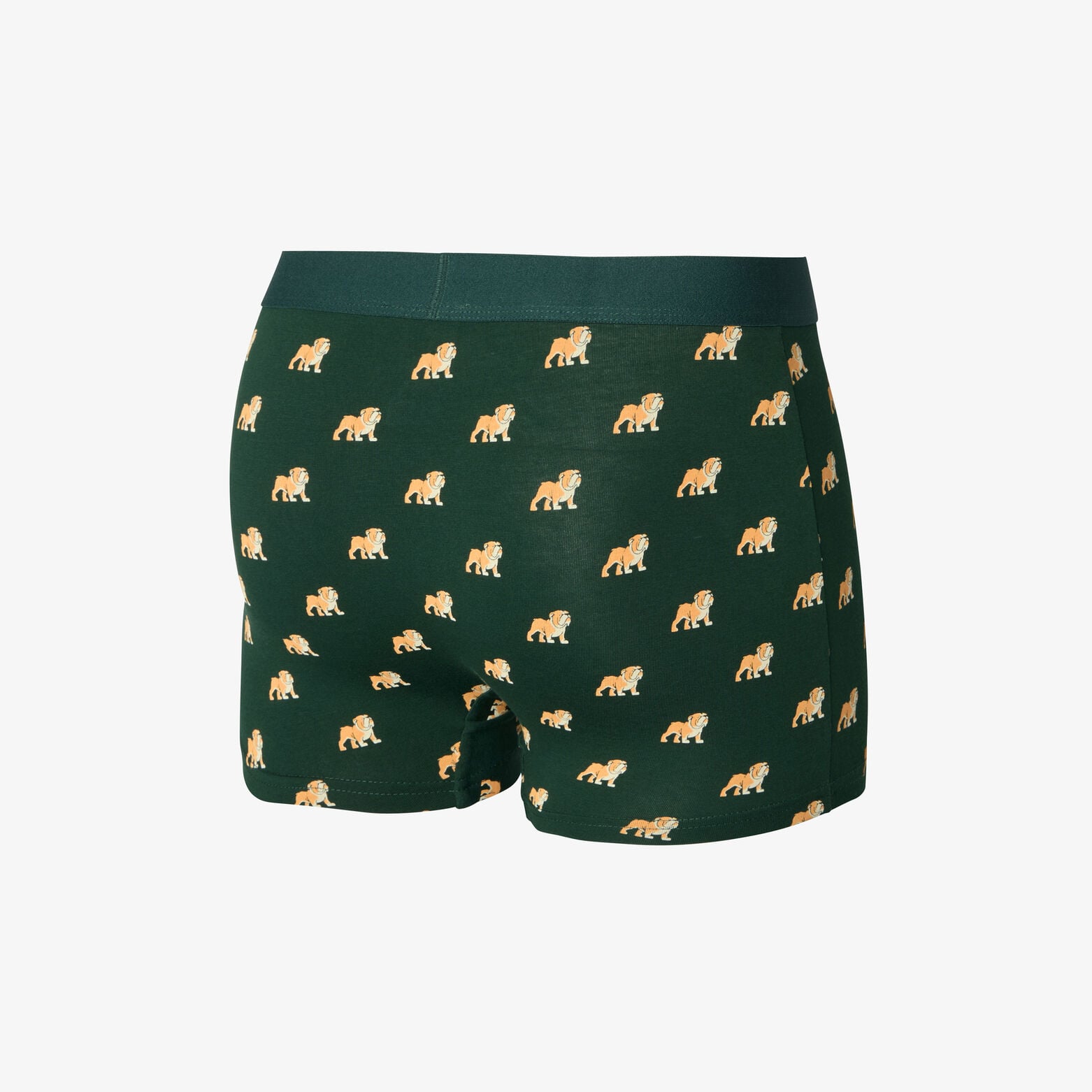 Boxer fantaisie