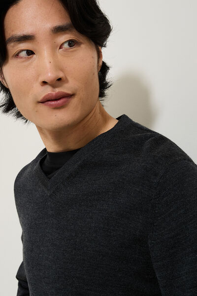 Trui met V-kraag in merinoswol