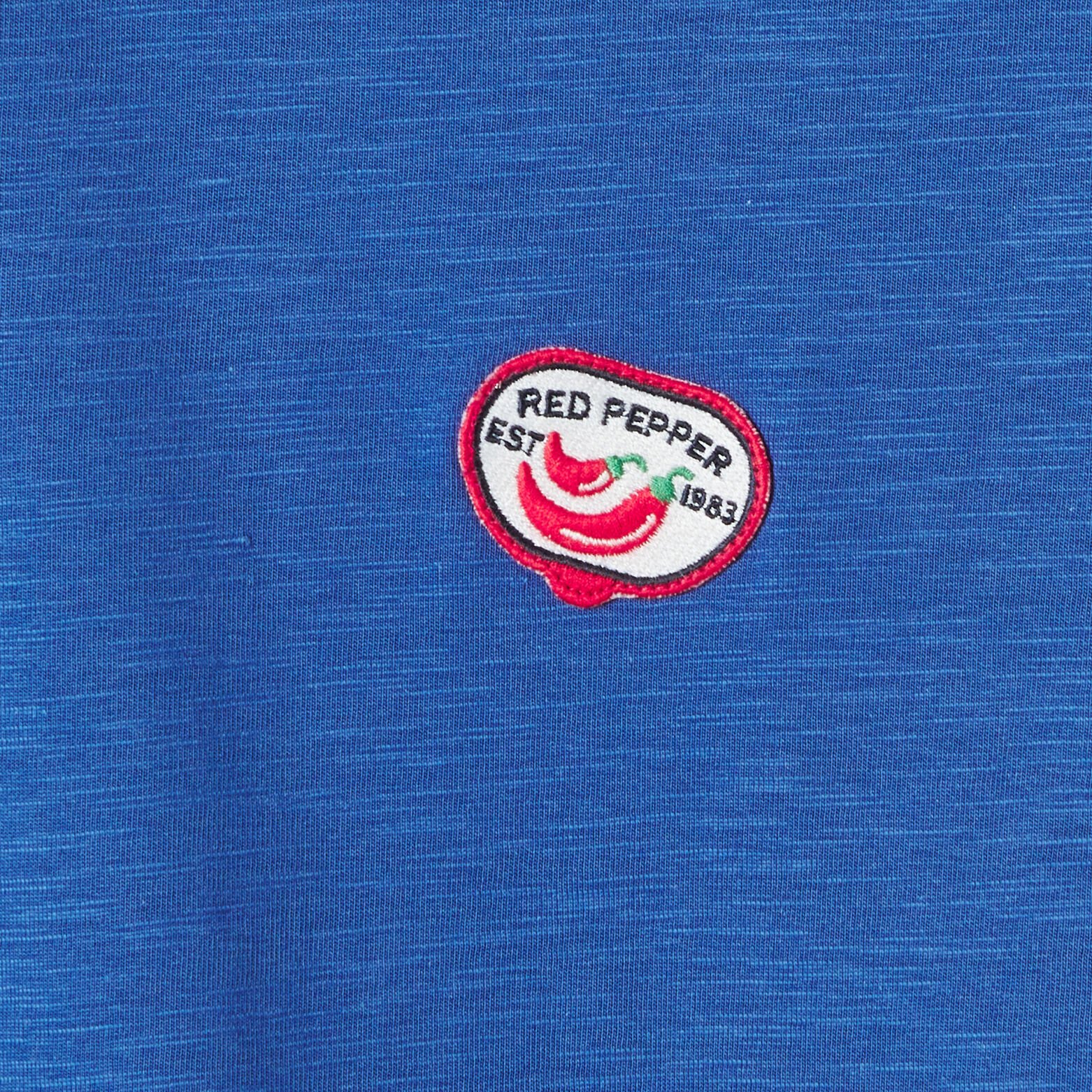 T-shirt in gevlamde stof met borduursel op de bors