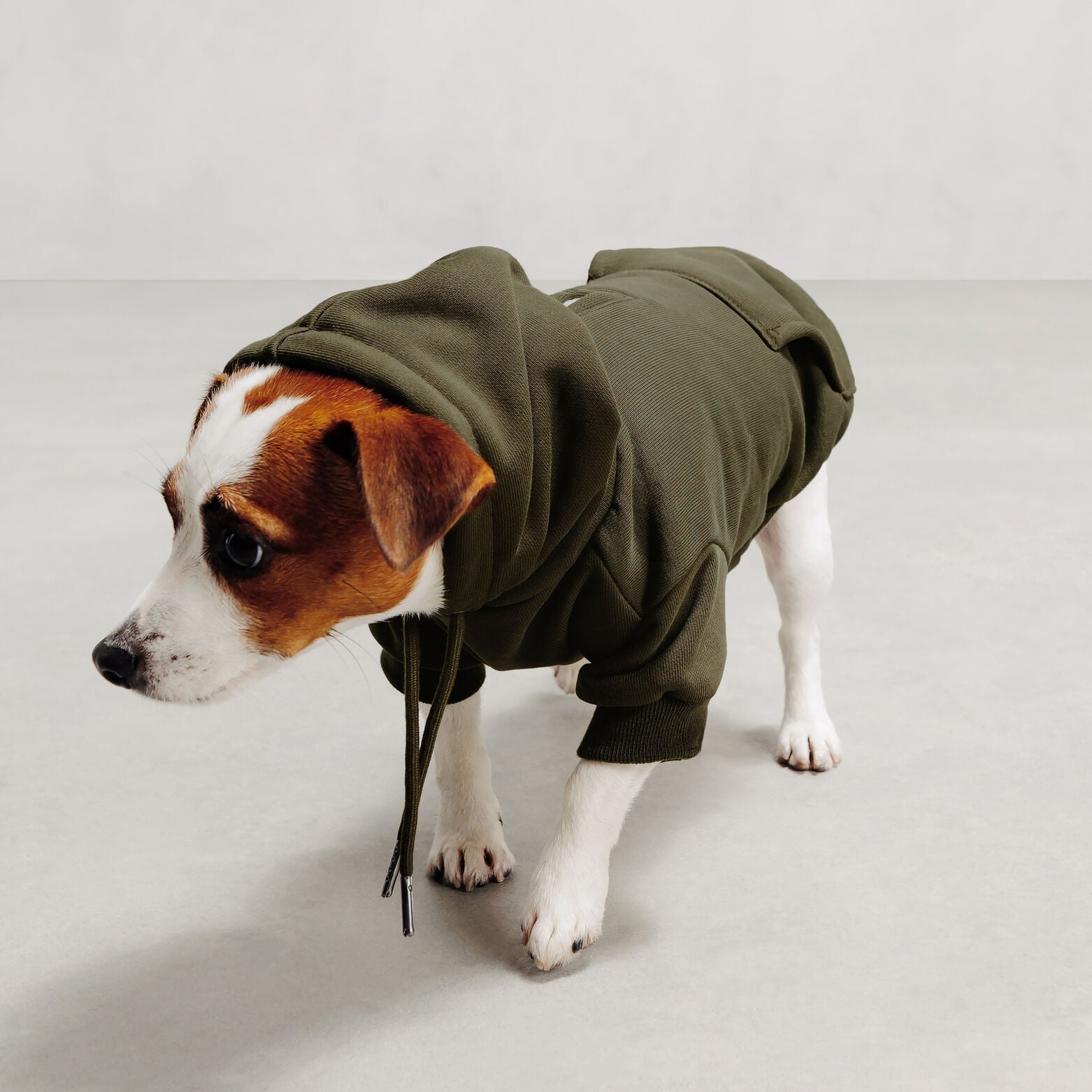 Sweat &agrave; capuche pour chien