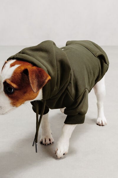 Sweat &agrave; capuche pour chien
