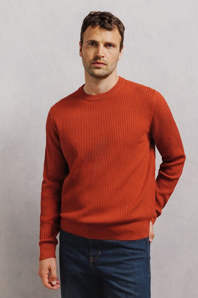 Pull col rond 100% coton point fantaisie