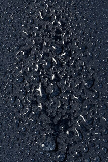 Blouson coupe-vent &agrave; capuche