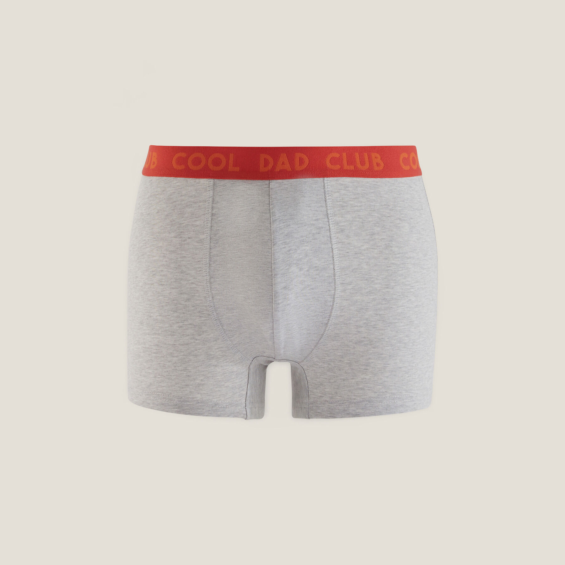 Boxer fete des peres Gris moyen Jules