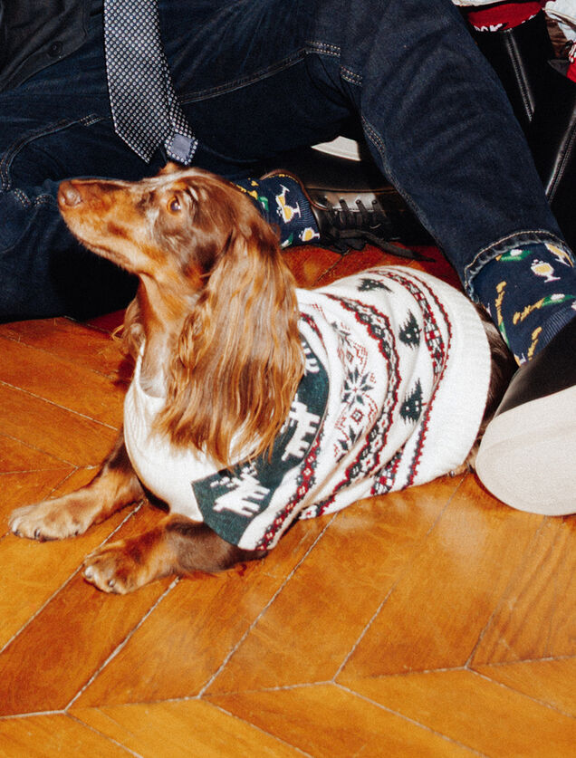 Pull pour chien No&euml;l