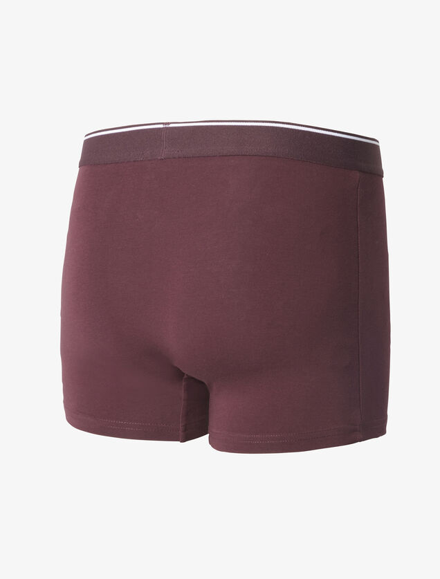 Boxer en coton