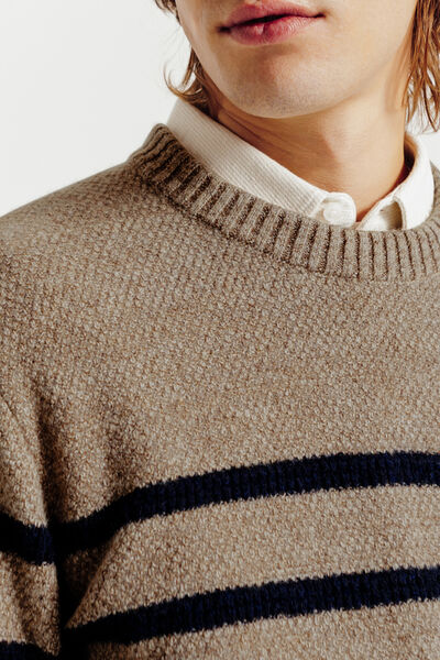 Trui ronde hals in gestreept stekenpatroon