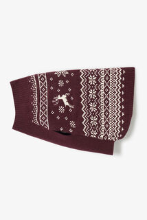 Pull pour chien No&euml;l