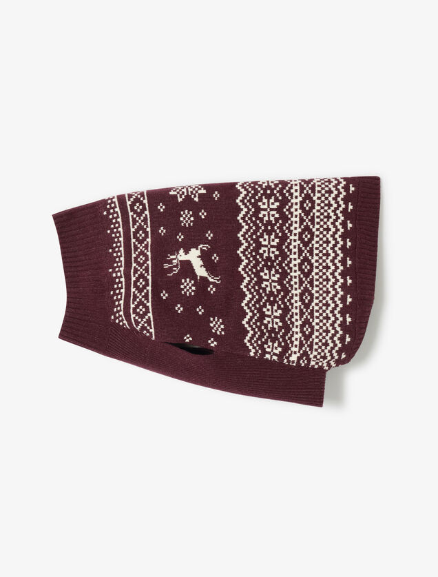 Pull pour chien No&euml;l