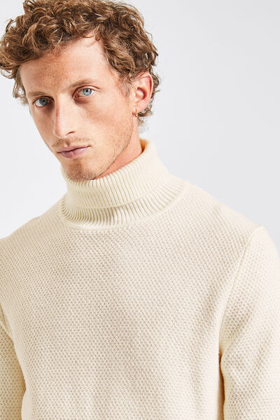 Pull col roulé homme | Jules