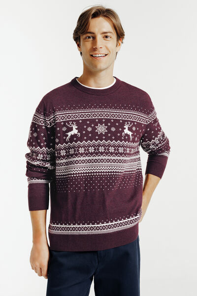 Pull de noël