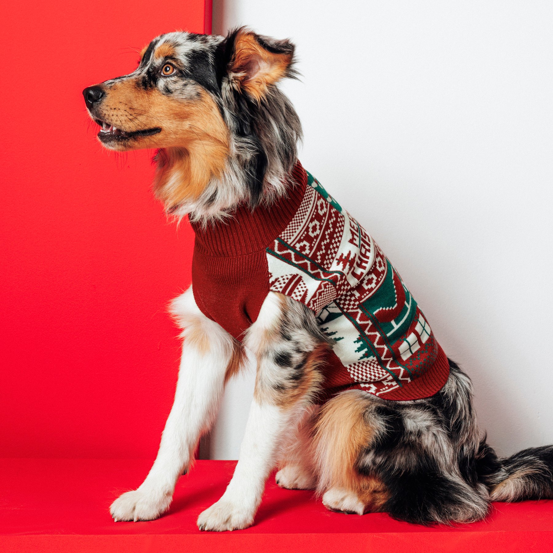Pull pour chien Noël Rouge XS  Homme