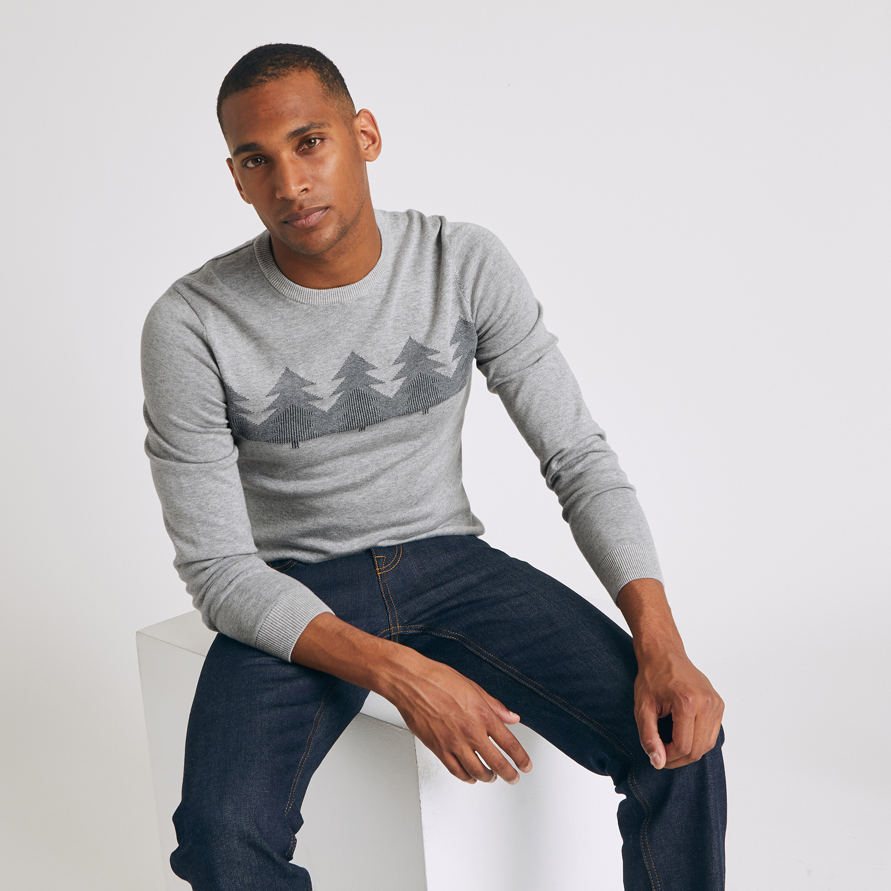 PULL SAPINS Gris Homme